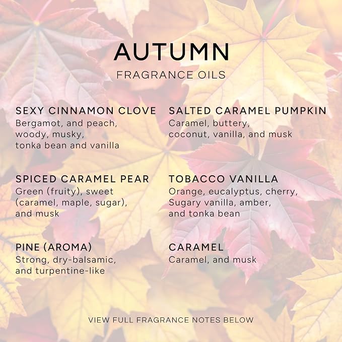 Eternal Essence Oils Autumn Set of 6 Premium Fragrance Oils - Image 2