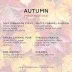 Eternal Essence Oils Autumn Set of 6 Premium Fragrance Oils - Image 2