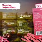 KVITER 1000 Tall Utah Celery Seeds – Celery Seed Packets Home Grown – Non GMO - Image 3