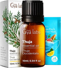 100% Pure Thuja Essential Oil by GyaLabs