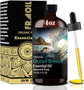 Ocean Breeze Essential Oil, Ocean Breeze Oil 4 Fl Oz 120ML by FRAOILESSENTIALOIL