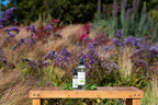 EuroSpa Aromatics Pure Eucalyptus Oil ShowerMist and Steam Room Spray, - Image 8