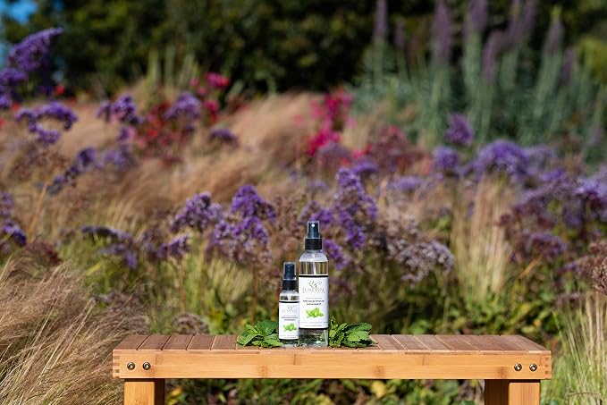 EuroSpa Aromatics Pure Eucalyptus Oil ShowerMist and Steam Room Spray, - Image 7