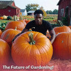 KVITER 25 Big Max Pumpkin Seeds - Image 8