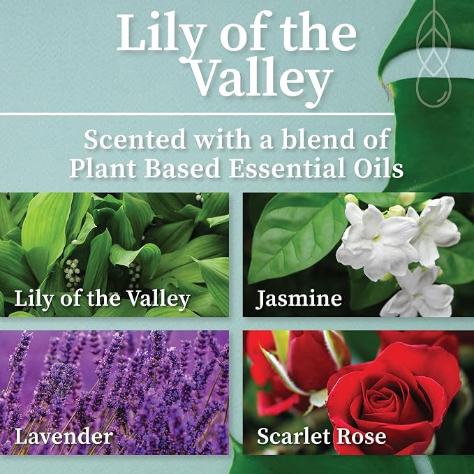 Hemlock Park Lily of the Valley Apothecary Hand-Poured Scented Candle | - Image 2
