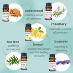 PURA D'OR Organic Perfect10 Essential Oils Set - Image 4