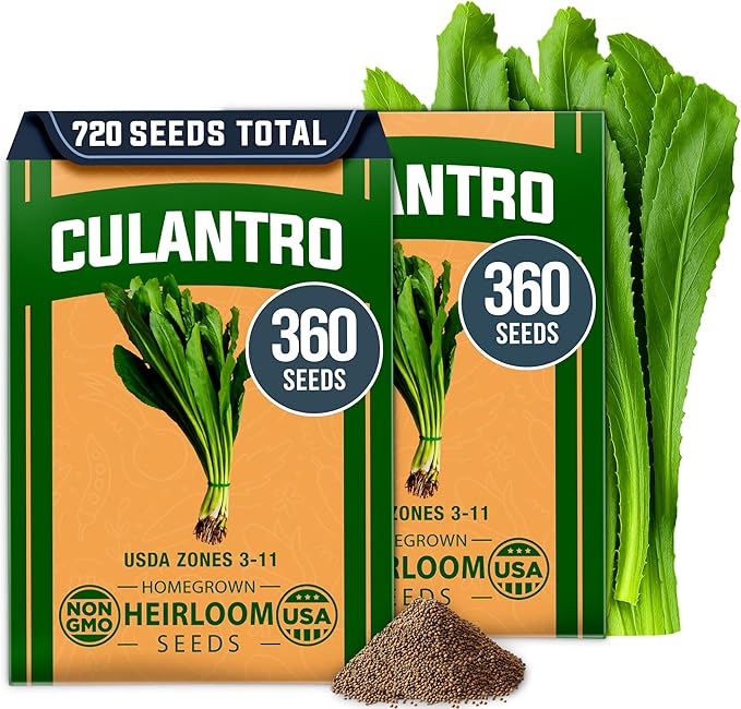 HOME GROWN Culantro Seeds by HOMEGROWN
