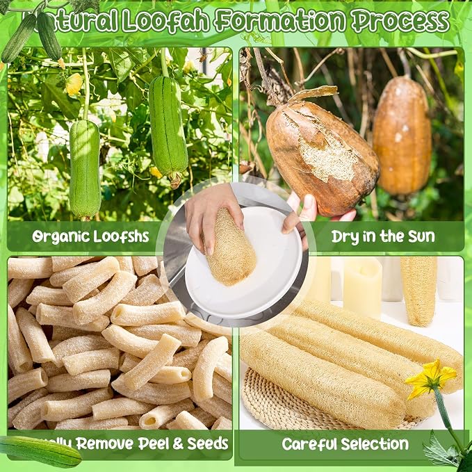 6 Pack Natural Loofah Sponge 15.7 Inch - Image 5