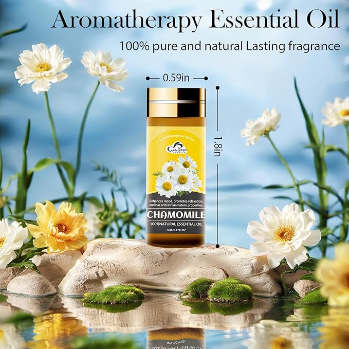 Essential Oil Set, Home Care, Humidifier, Candle Making - Image 2