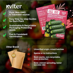 KVITER 150 Straight Eight Cucumber Seeds - Image 5
