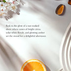 Chesapeake Bay, 11oz Salted Sands Scented Candle, Mood Evoking Fragrance - Image 3
