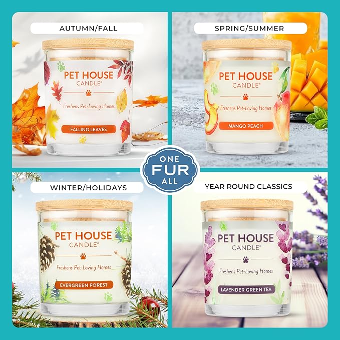 Pet House Scented Candles, 100% Plant-Based, Long Lasting Candle - Image 4