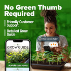 HOME GROWN Jalapeno Pepper Seeds 258+ Heirloom Non-GMO Seeds - Image 8