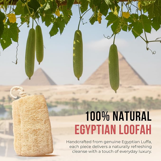 CraftsOfEgypt Luffa Body Scrubber – Plant-based Egyptian loofah shower sponge - Image 5