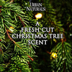 Urban Naturals Pine Forest Reed Diffuser Set - Image 2