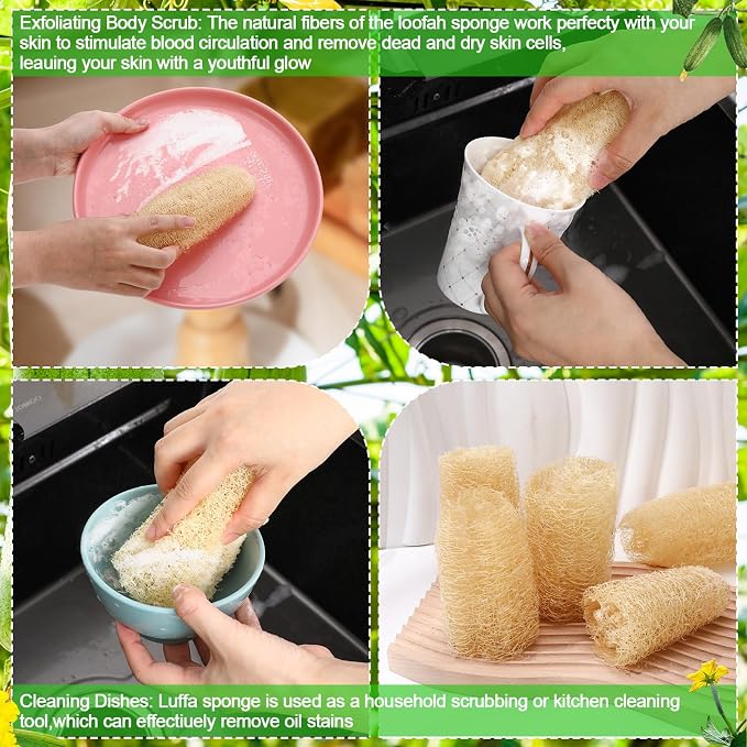 15.7-19.7 inches Natural Loofah Sponges Pack of 4 - Image 5