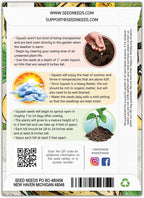 Seed Needs, Delicata Squash Seeds - Image 2