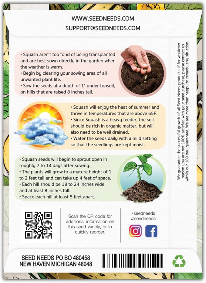 Seed Needs, Delicata Squash Seeds - Image 2