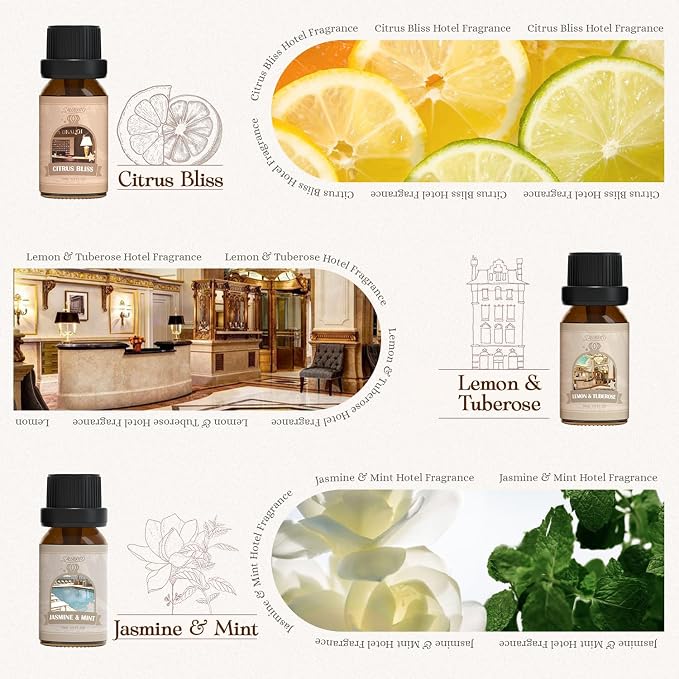 SALUBRITO Hotel Fragrance Oil Set, Luxury Essential Oil Set - Image 3