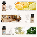 SALUBRITO Hotel Fragrance Oil Set, Luxury Essential Oil Set - Image 3