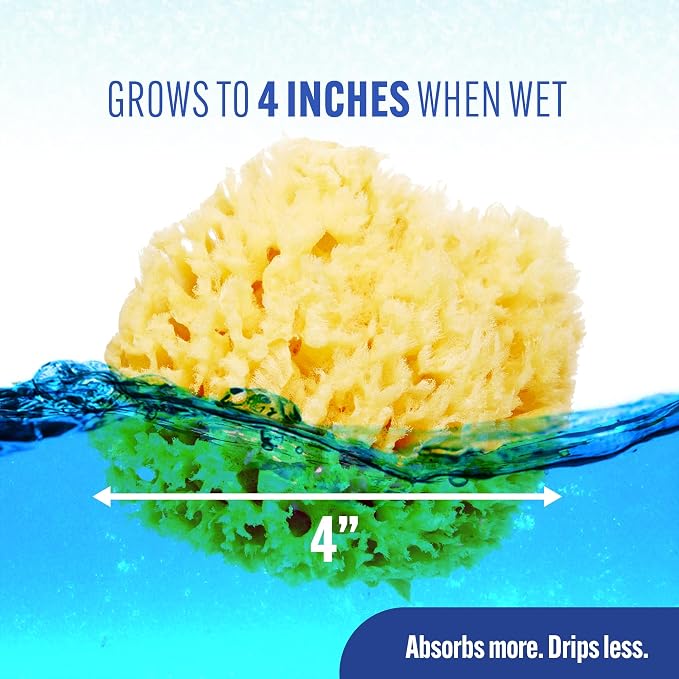 Baby Buddy Absorbent Natural Bath Sponge, Ultra Soft Premium Sea Wool Sponge - Image 4