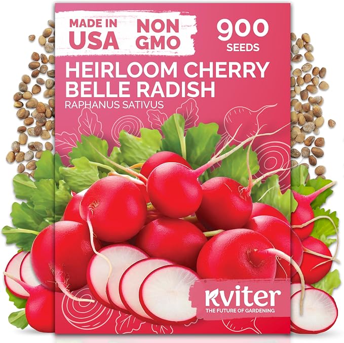 KVITER 900 Cherry Belle Radish Seeds by KVITER