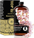 Cherry Blossom Essential Oil, Cherry Blossom Oil 8 Fl Oz 240ML by FRAOILESSENTIALOIL