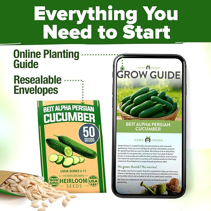 HOME GROWN Persian Cucumber Seeds 50+ Heirloom Non-GMO, Beit Alpha Variety - Image 8