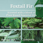 Hemlock Park Foxtail Fir Apothecary Hand-Poured Scented Candle | Crackling Wood - Image 2