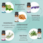 PURA D'OR Organic Sweet16 Essential Oils Set - Image 3