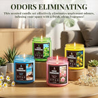 4 Pack Odor Eliminating Highly Fragranced Candle, Eliminates 95% of Food - Image 8