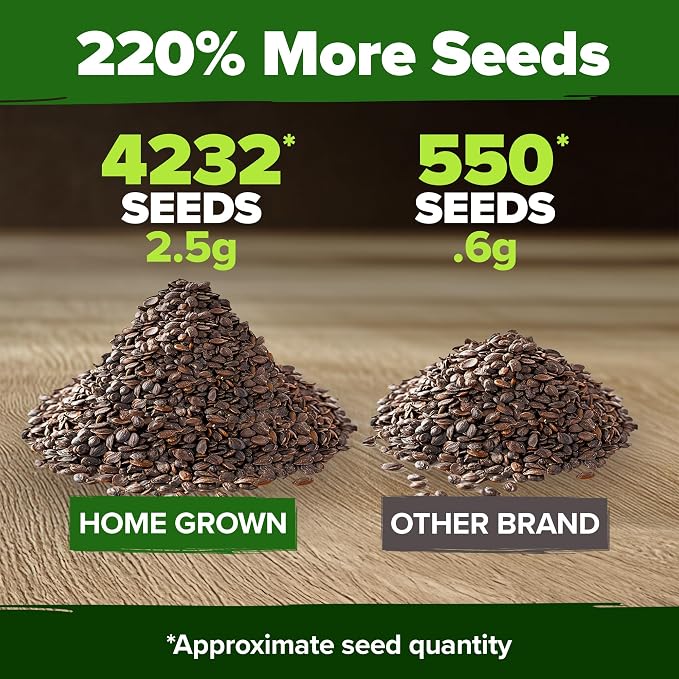 HOME GROWN Catnip Seeds Heirloom Herb 4232 Seeds - Image 3