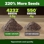 HOME GROWN Catnip Seeds Heirloom Herb 4232 Seeds - Image 3