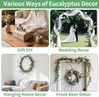 12PCS Dried Eucalyptus Bundle 17'' Real Eucalyptus Stems 100% Natural Fresh - Image 7