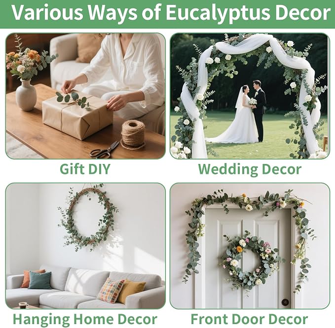 12PCS Dried Eucalyptus Bundle 17'' Real Eucalyptus Stems 100% Natural Fresh - Image 7