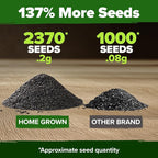 HOME GROWN Non GMO Peppermint Seeds Pack 2, 370 Heirloom Mint Seeds - Image 3