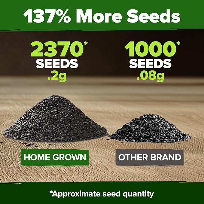 HOME GROWN Non GMO Peppermint Seeds Pack 2, 370 Heirloom Mint Seeds - Image 3