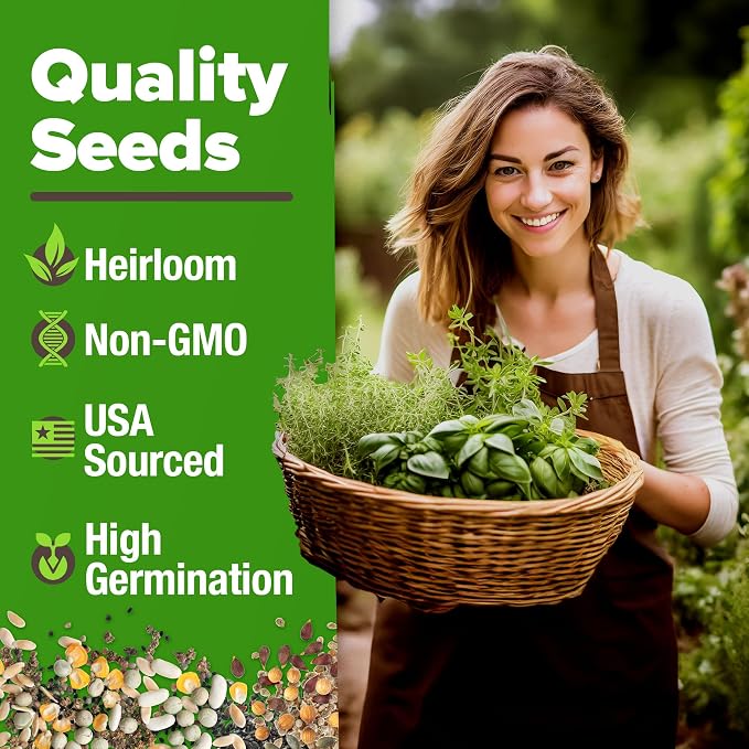 HOME GROWN 10 Herb Seeds for Planting 3, 000+ Non-GMO Heirloom Seeds | Extra - Image 2
