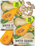 Seed Needs Waltham Butternut Squash Seeds by SeedNeeds