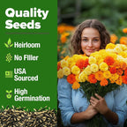 HOME GROWN Petite French Marigold Seeds 658 Flower Seeds - Image 2