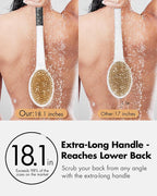 Back Scrubber Anti Slip for Shower: 18.1'' Long Handle Bath Brush - Image 2