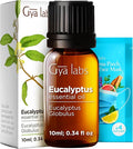 100% Pure Eucalyptus Essential Oil by GyaLabs