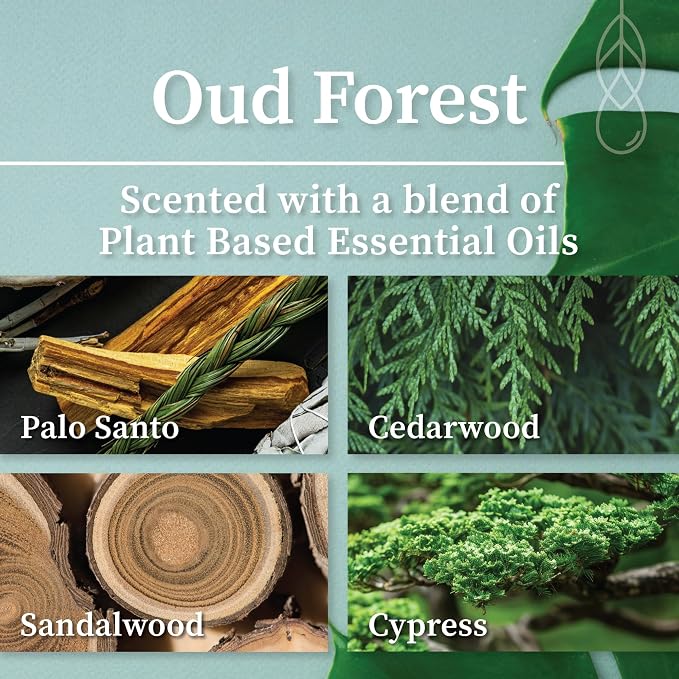 Hemlock Park Oud Forest Apothecary Hand-Poured Scented Candle | Crackling Wood - Image 2