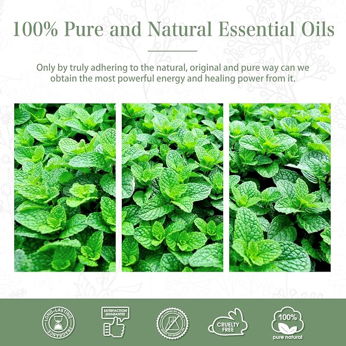 Spearmint 3.38fl.oz Essential Oil, PHATOIL Pure Aromatherapy Oils - Image 7