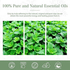 Spearmint 3.38fl.oz Essential Oil, PHATOIL Pure Aromatherapy Oils - Image 7