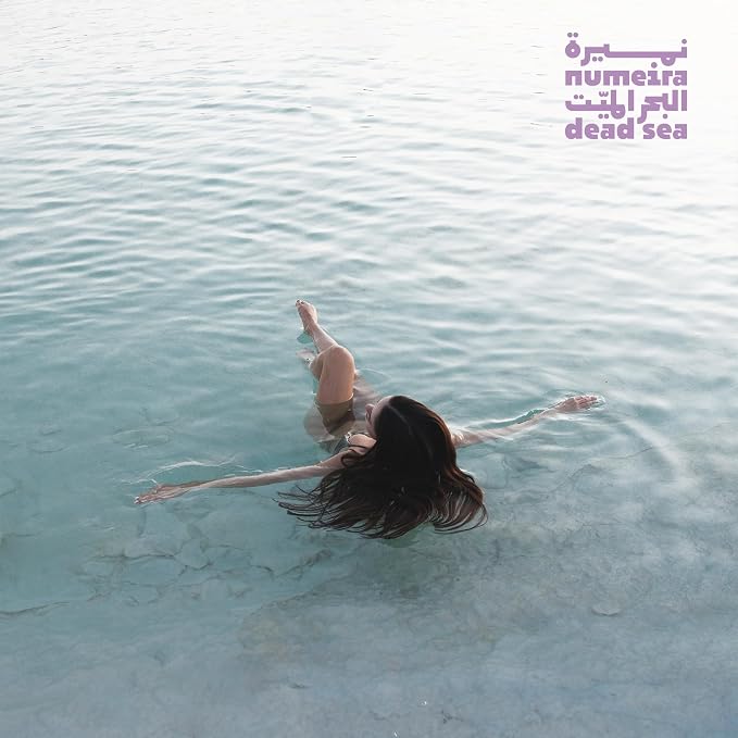 Dead Sea Salts for Soaking - Image 6