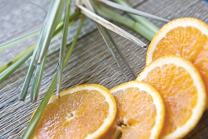 Root Candles Scented Candles Honeycomb Beeswax Blend Premium Handcrafted Candle - Image 3