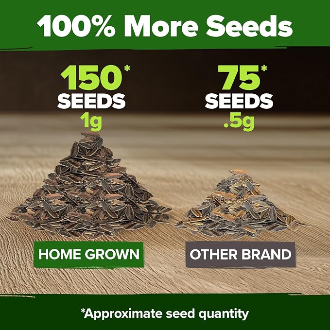 HOME GROWN Will Rogers Zinnia Seeds - Image 3