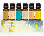 Eternal Essence Oils Tropical Set of 6 Premium Fragrance Oils - Image 6