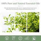 Thyme Essential Oil, 1.01Fl.Oz PHATOIL Pure Essential Oil Singles - Image 7